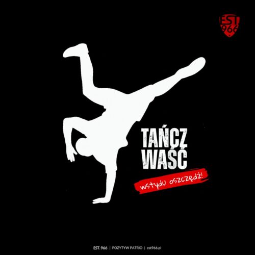 T-shirt damski | T-shirt męski | TAŃCZ WAŚĆ, WSTYDU OSZCZĘDŹ - obrazek 10