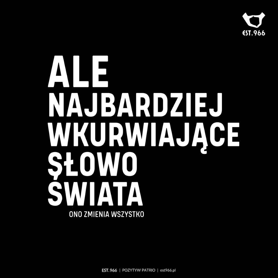 T-shirt damski | T-shirt męski | ALE - obrazek 10