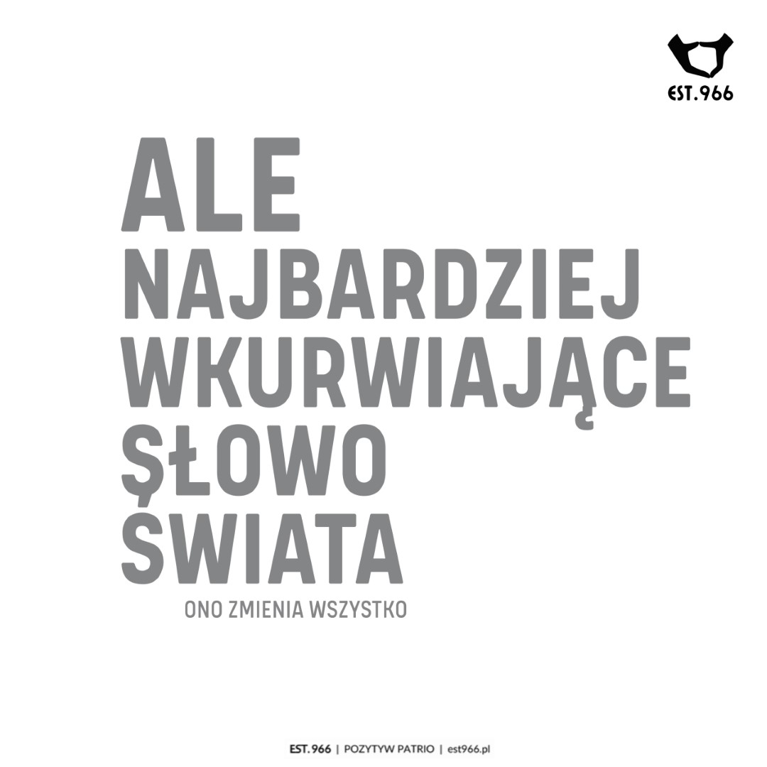 T-shirt damski | T-shirt męski | ALE - obrazek 11