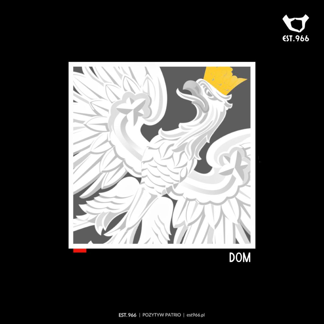 T-shirt damski | T-shirt męski | DOM - obrazek 6